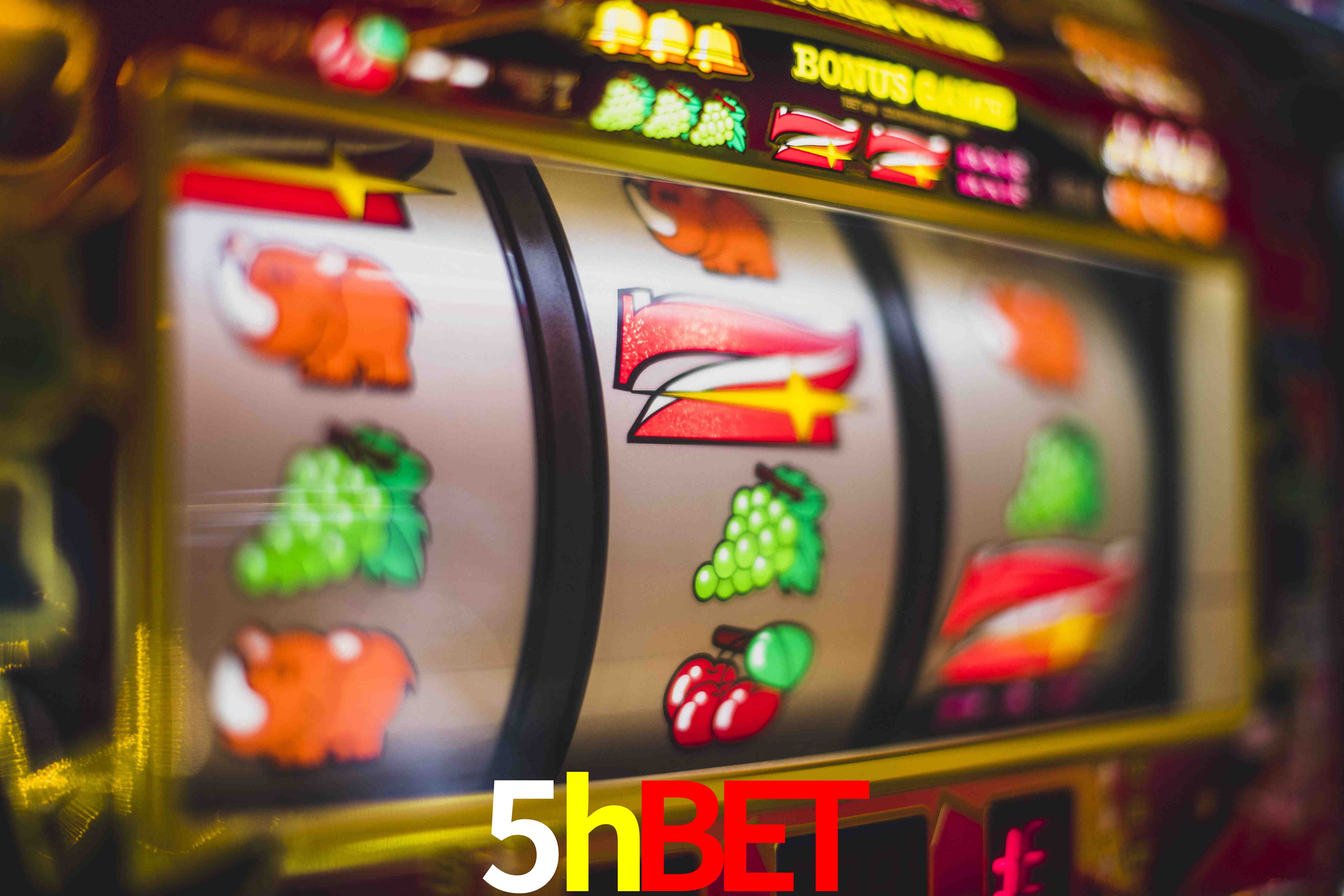 Statistics 5hbet